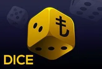 Dice Zebet